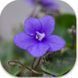 Rob's Gundaroo dt8 фото 4