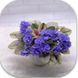 Scales dnm33 фото 8
